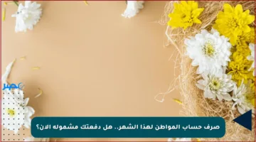 صرف حساب المواطن لهذا الشهر.. هل دفعتك مشمولة الآن؟